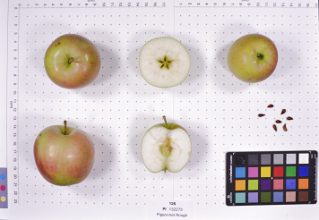 Click for 2 image(s) for this accession.